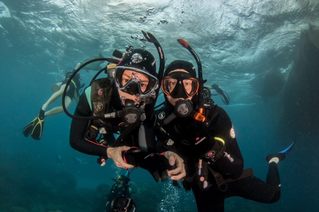 Diving The Great Barrier Reef